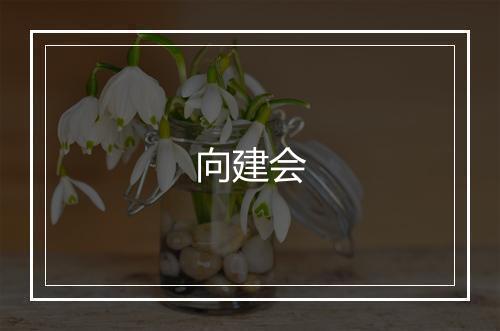 向建会