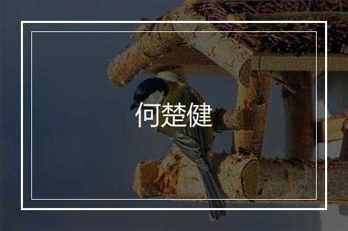 何楚健