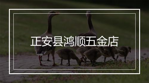 正安县鸿顺五金店