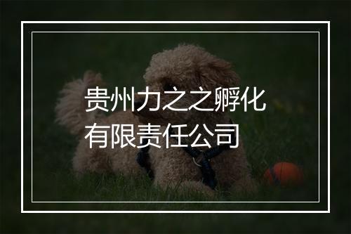 贵州力之之孵化有限责任公司