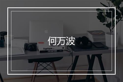 何万波