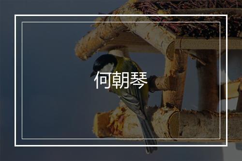何朝琴