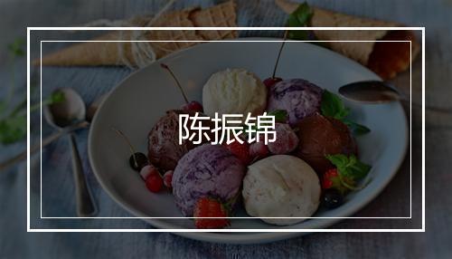 陈振锦