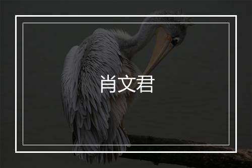 肖文君