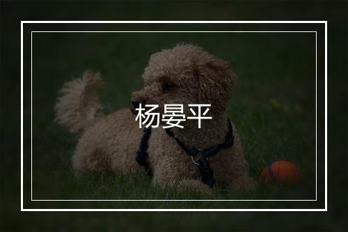 杨晏平