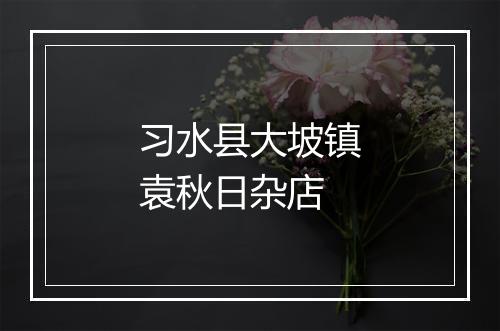 习水县大坡镇袁秋日杂店