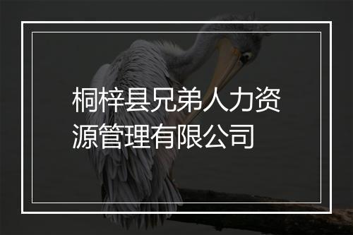 桐梓县兄弟人力资源管理有限公司