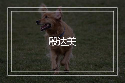 殷达美