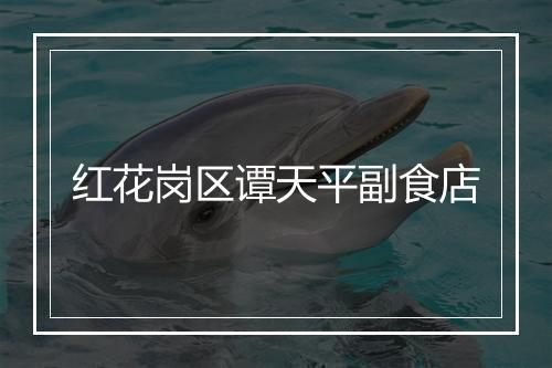 红花岗区谭天平副食店