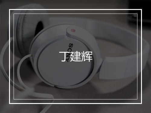 丁建辉