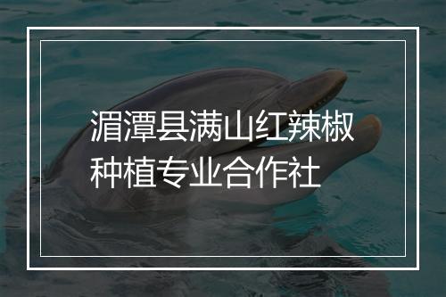 湄潭县满山红辣椒种植专业合作社
