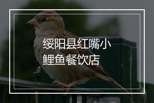 绥阳县红嘴小鲤鱼餐饮店