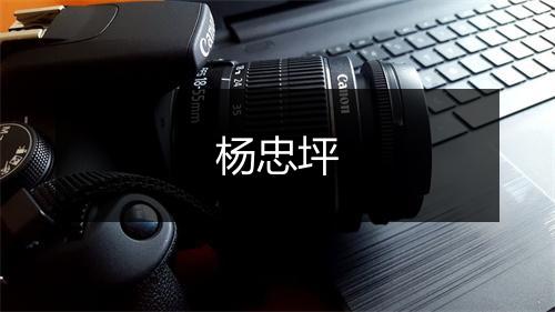 杨忠坪