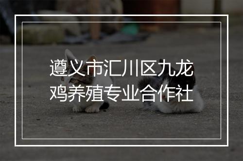 遵义市汇川区九龙鸡养殖专业合作社