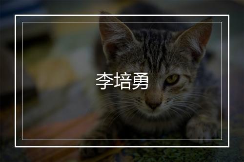 李培勇