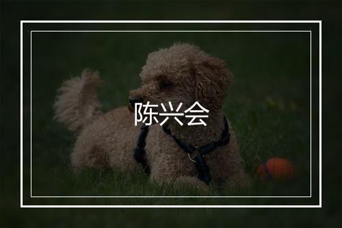 陈兴会