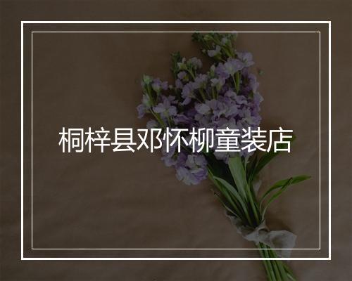 桐梓县邓怀柳童装店
