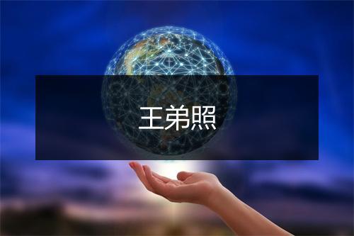 王弟照
