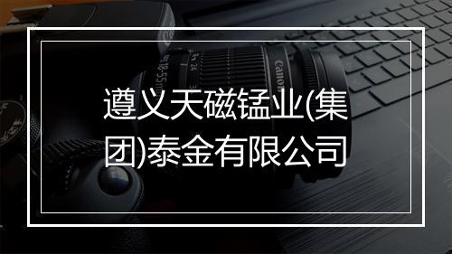 遵义天磁锰业(集团)泰金有限公司