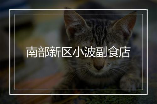 南部新区小波副食店