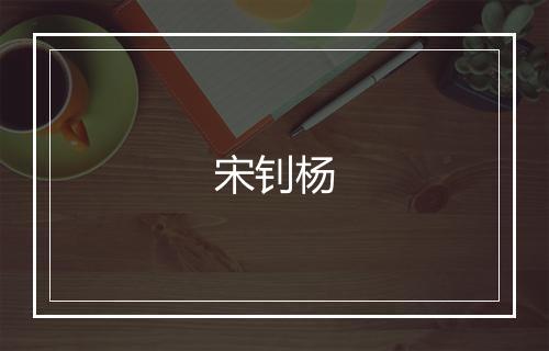 宋钊杨