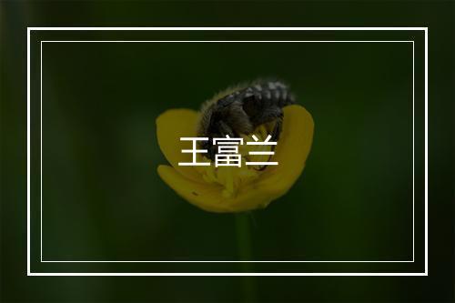 王富兰