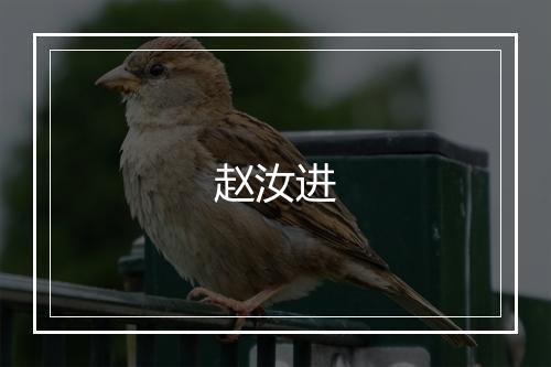 赵汝进
