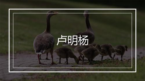 卢明杨