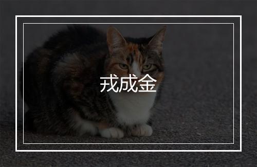 戎成金