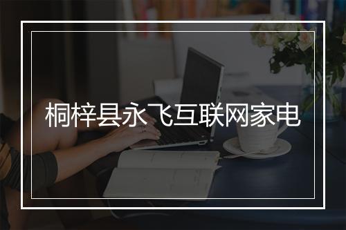 桐梓县永飞互联网家电