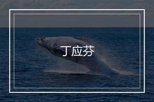 丁应芬