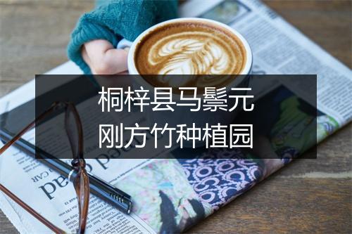 桐梓县马鬃元刚方竹种植园