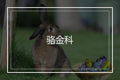 骆金科