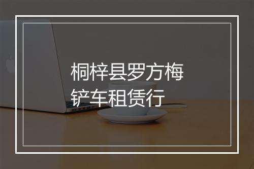 桐梓县罗方梅铲车租赁行