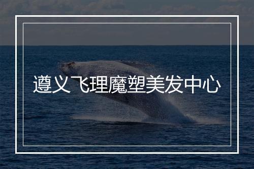 遵义飞理魔塑美发中心