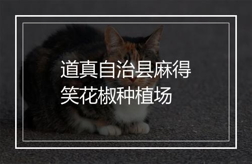 道真自治县麻得笑花椒种植场