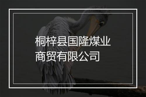 桐梓县国隆煤业商贸有限公司