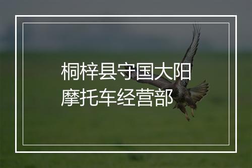 桐梓县守国大阳摩托车经营部