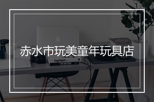 赤水市玩美童年玩具店