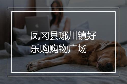 凤冈县琊川镇好乐购购物广场