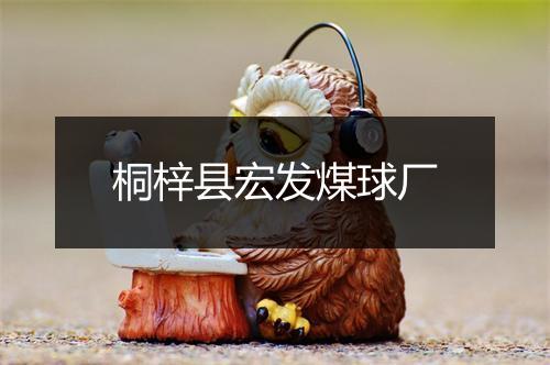 桐梓县宏发煤球厂