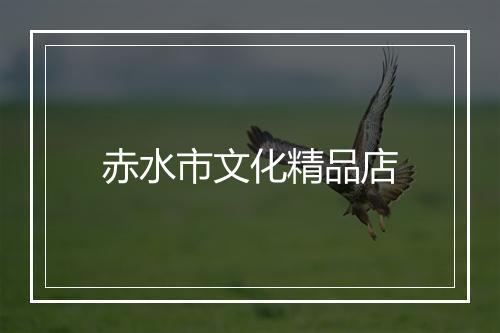 赤水市文化精品店