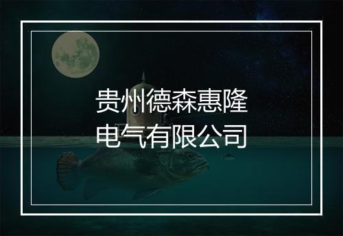 贵州德森惠隆电气有限公司