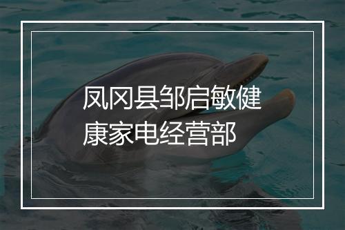 凤冈县邹启敏健康家电经营部