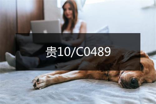 贵10/C0489