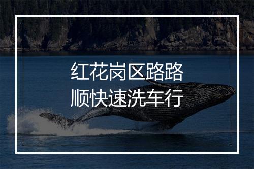 红花岗区路路顺快速洗车行