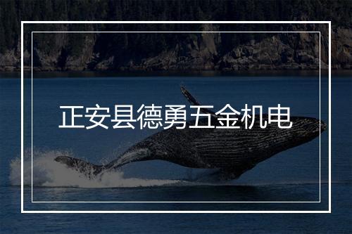 正安县德勇五金机电