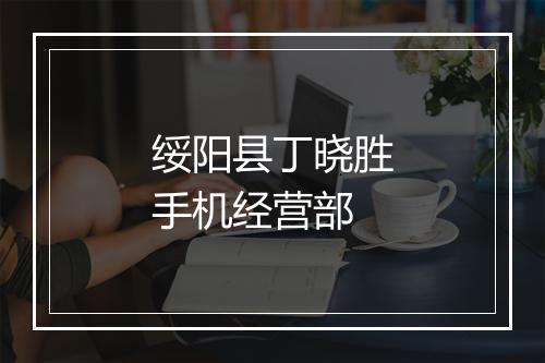 绥阳县丁晓胜手机经营部