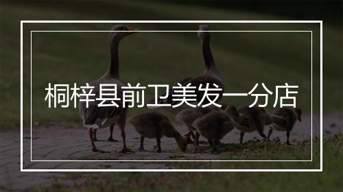 桐梓县前卫美发一分店