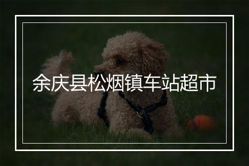 余庆县松烟镇车站超市